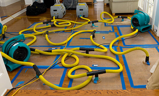 Professional Water Extraction technician working in Highland Park, MI